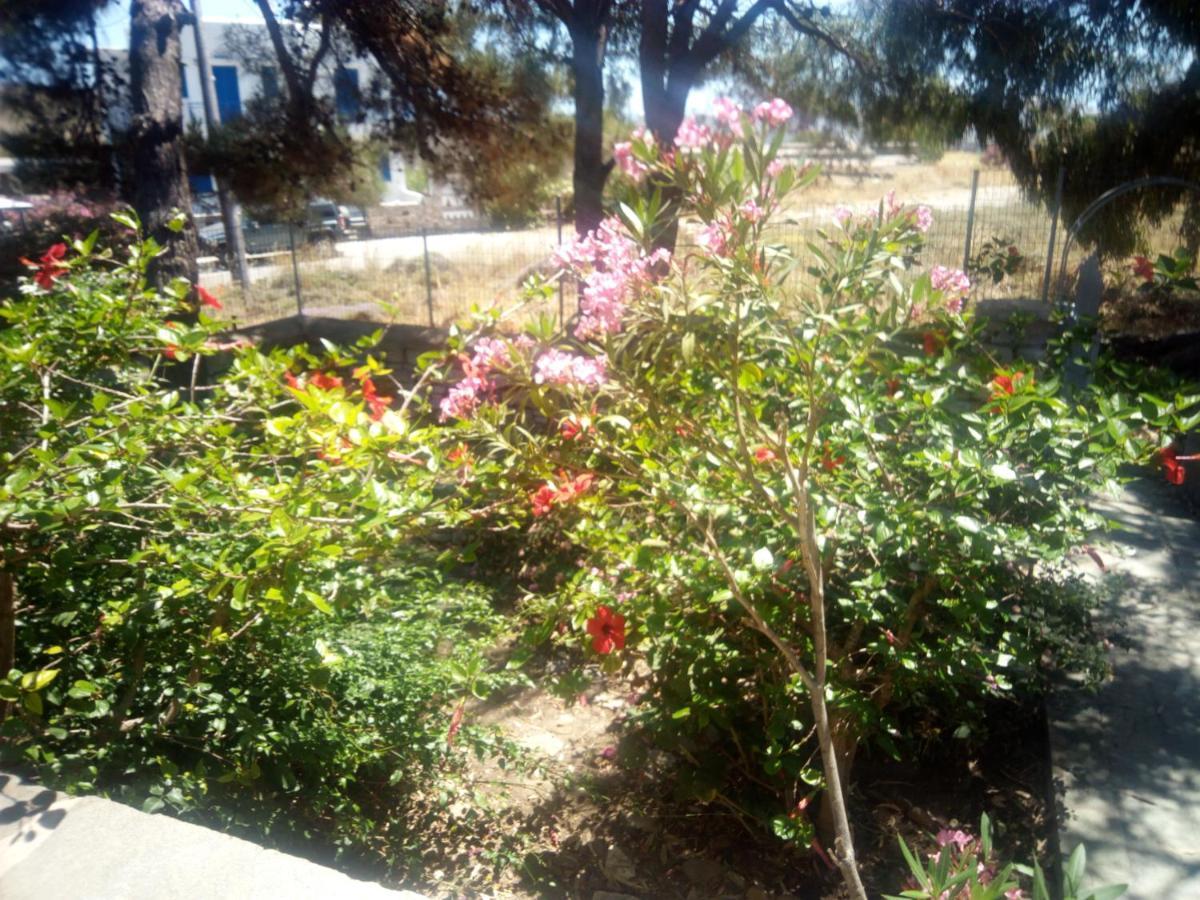 Little Stone House Near The Beach Agios Loannis Exterior foto